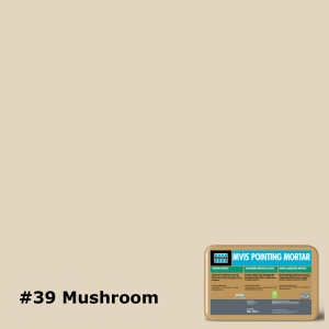 #39 Mushroom