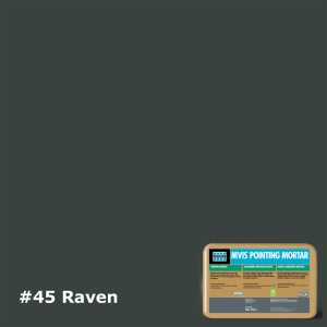 #45 Raven