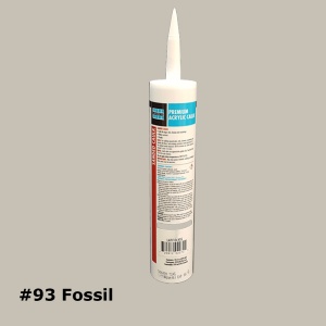 #93 Fossil